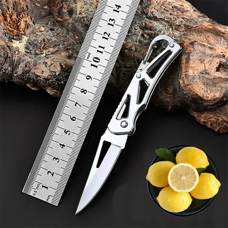 Stainless Steel Folding Fruit Knife, Outdoor Knife with Non-slip Handle,